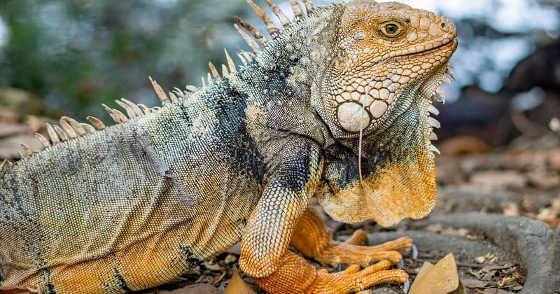 Expériences insolites à vivre en voyage : 15 idées originales