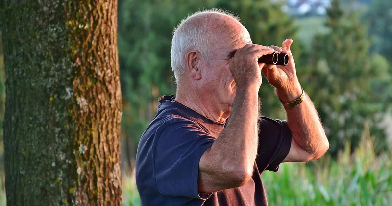 Wwoofing pour seniors : est-ce vraiment possible ?